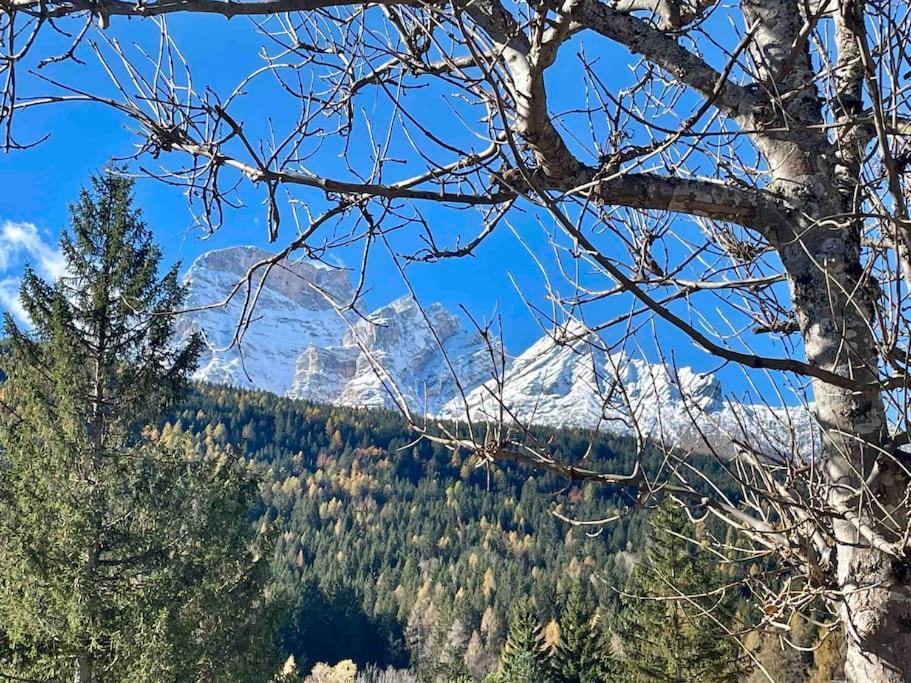 Home In Dolomiti Villanova  المظهر الخارجي الصورة